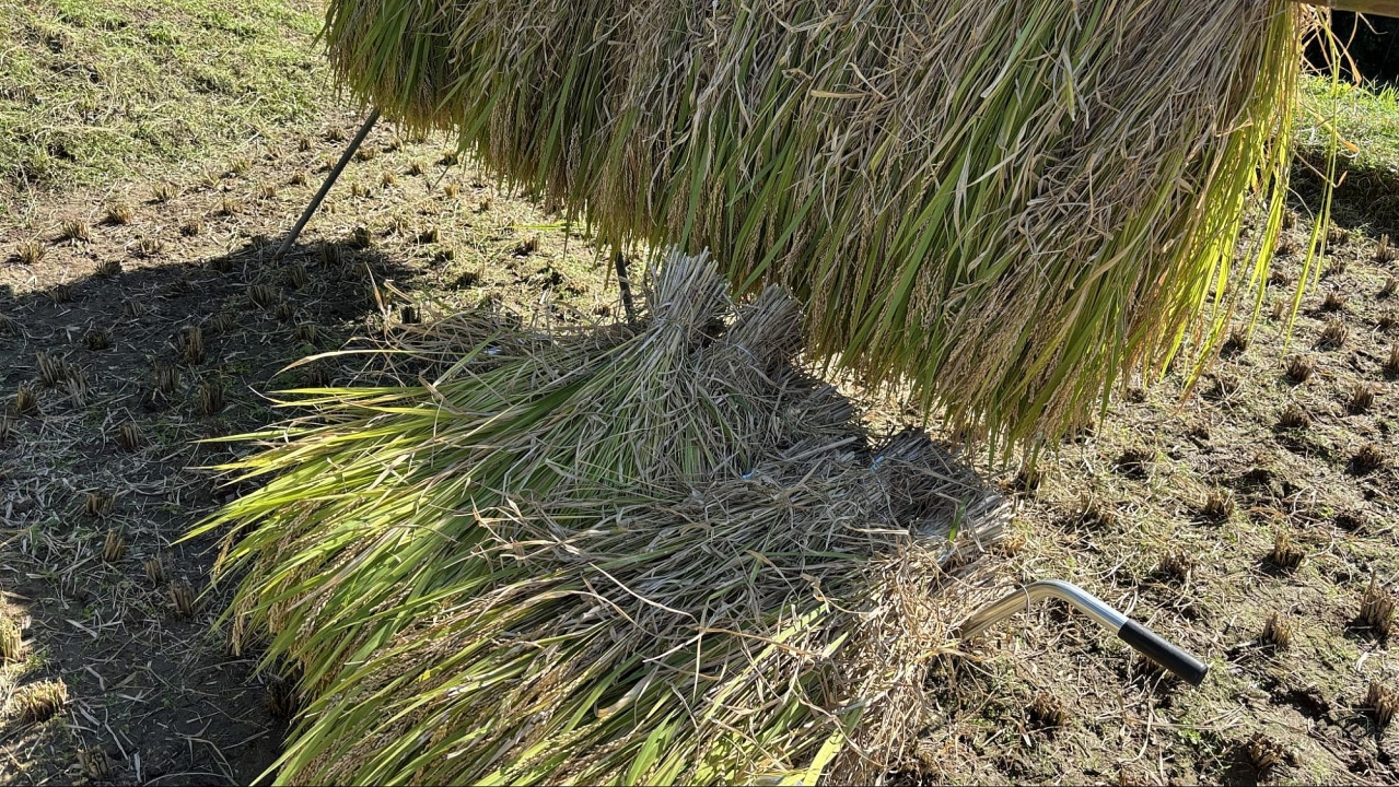 image16.jpg