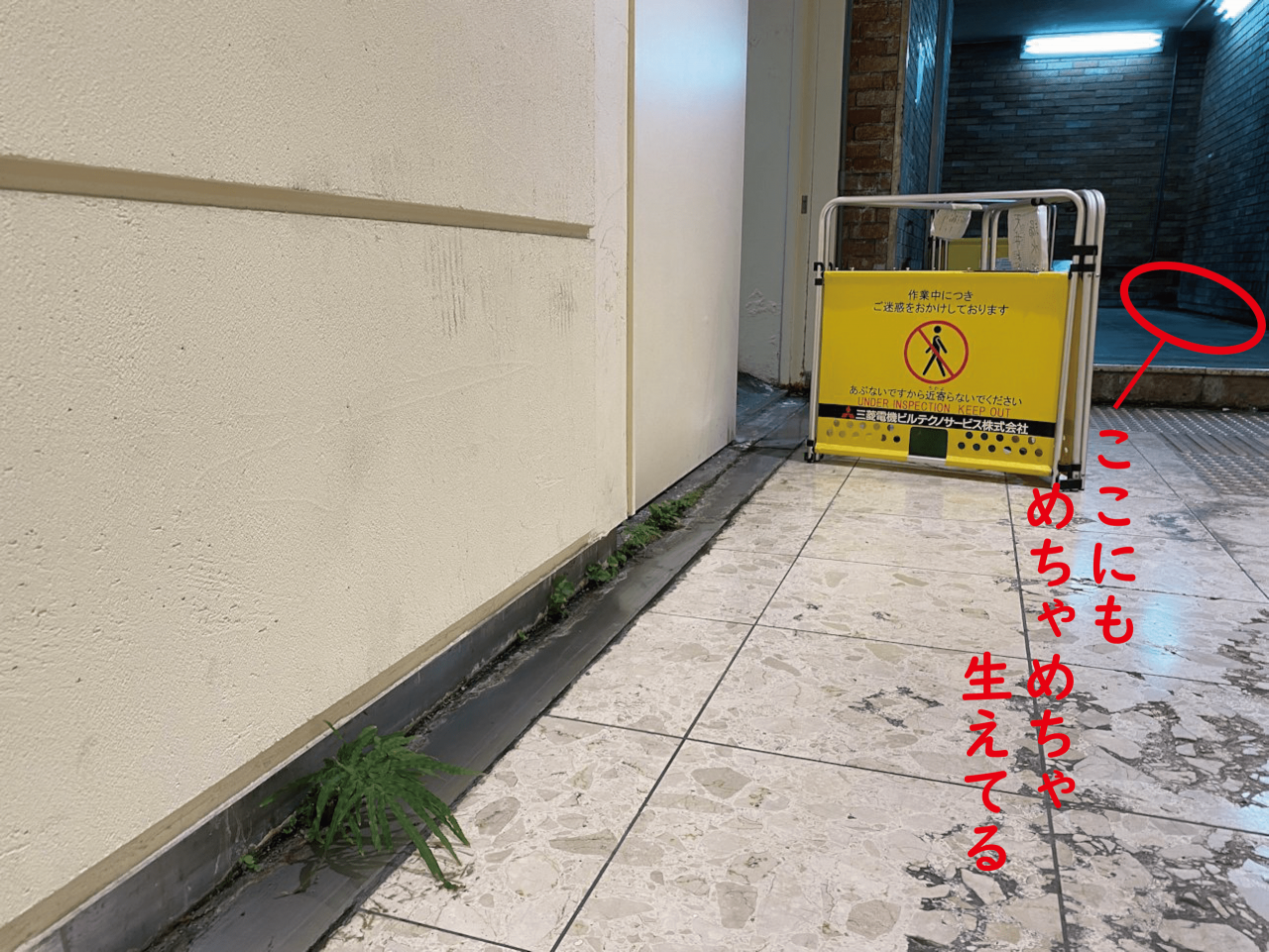 23.png