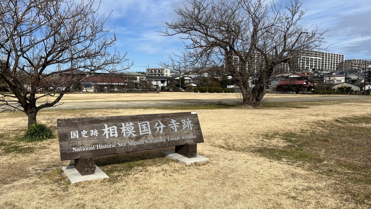 ebina_nanaju_128.jpg