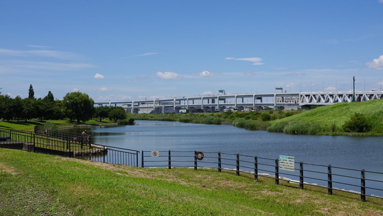 shinyoko_220.JPG