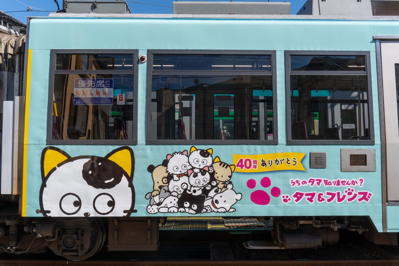 DSC07387.jpg