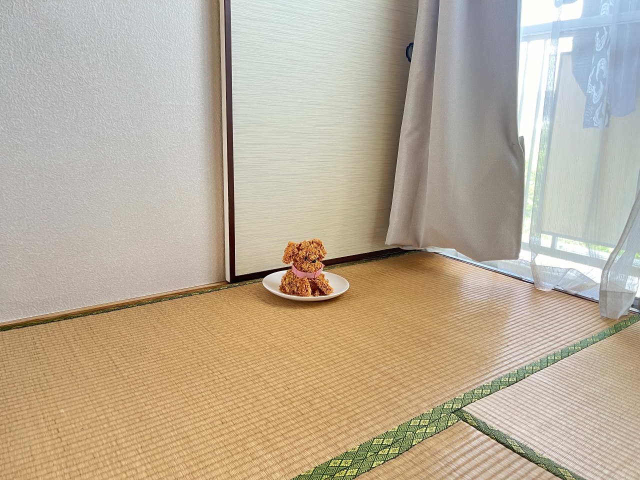 IMG_8896.jpeg