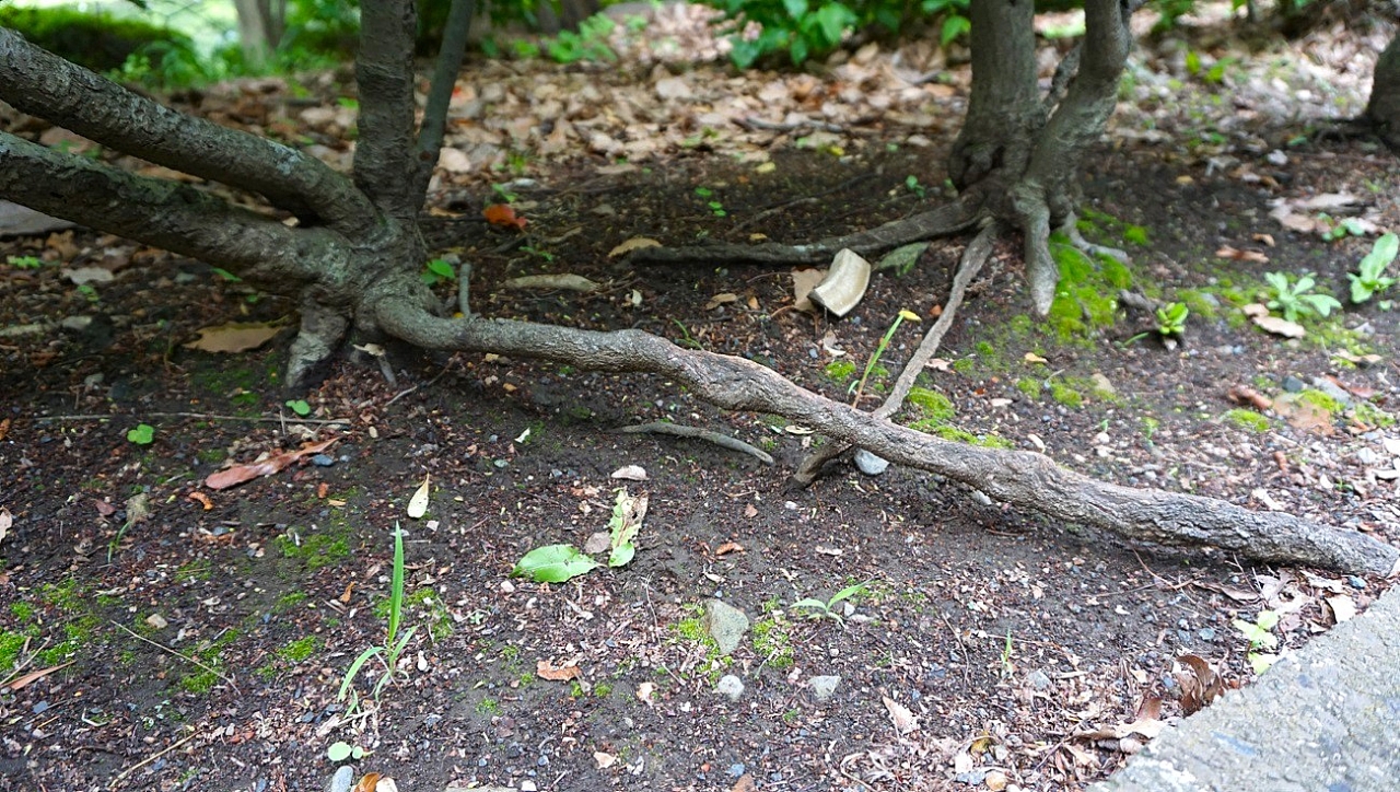 image1.jpg