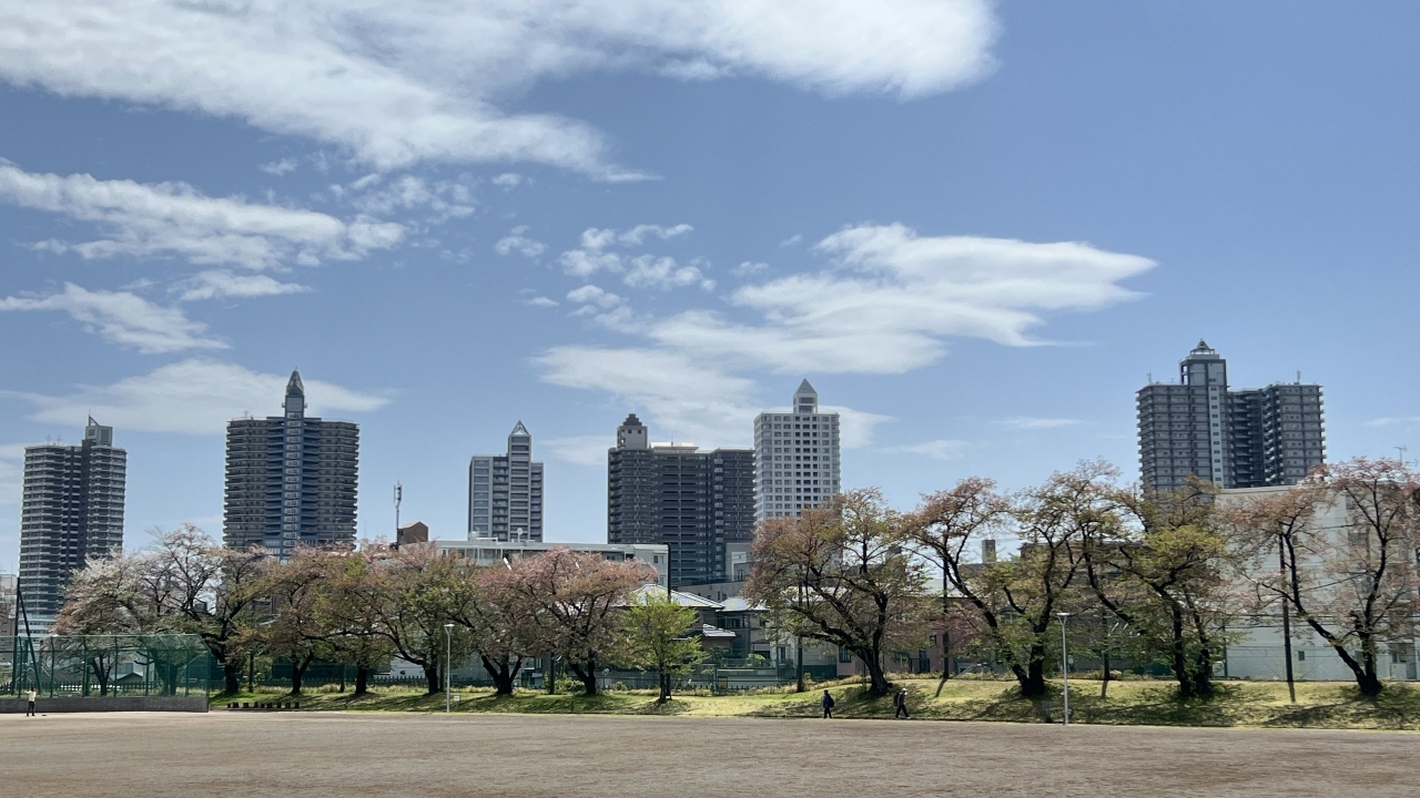 05.JPG
