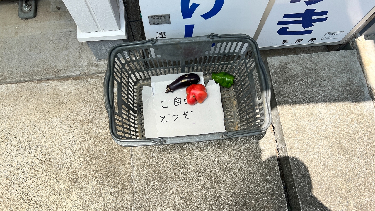23.JPG