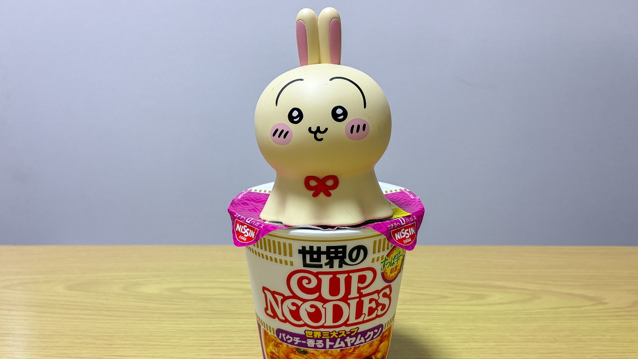ぬーどるストッパーが最強だと思っていた　私の生活になくてはならないこのアイテムを見直す