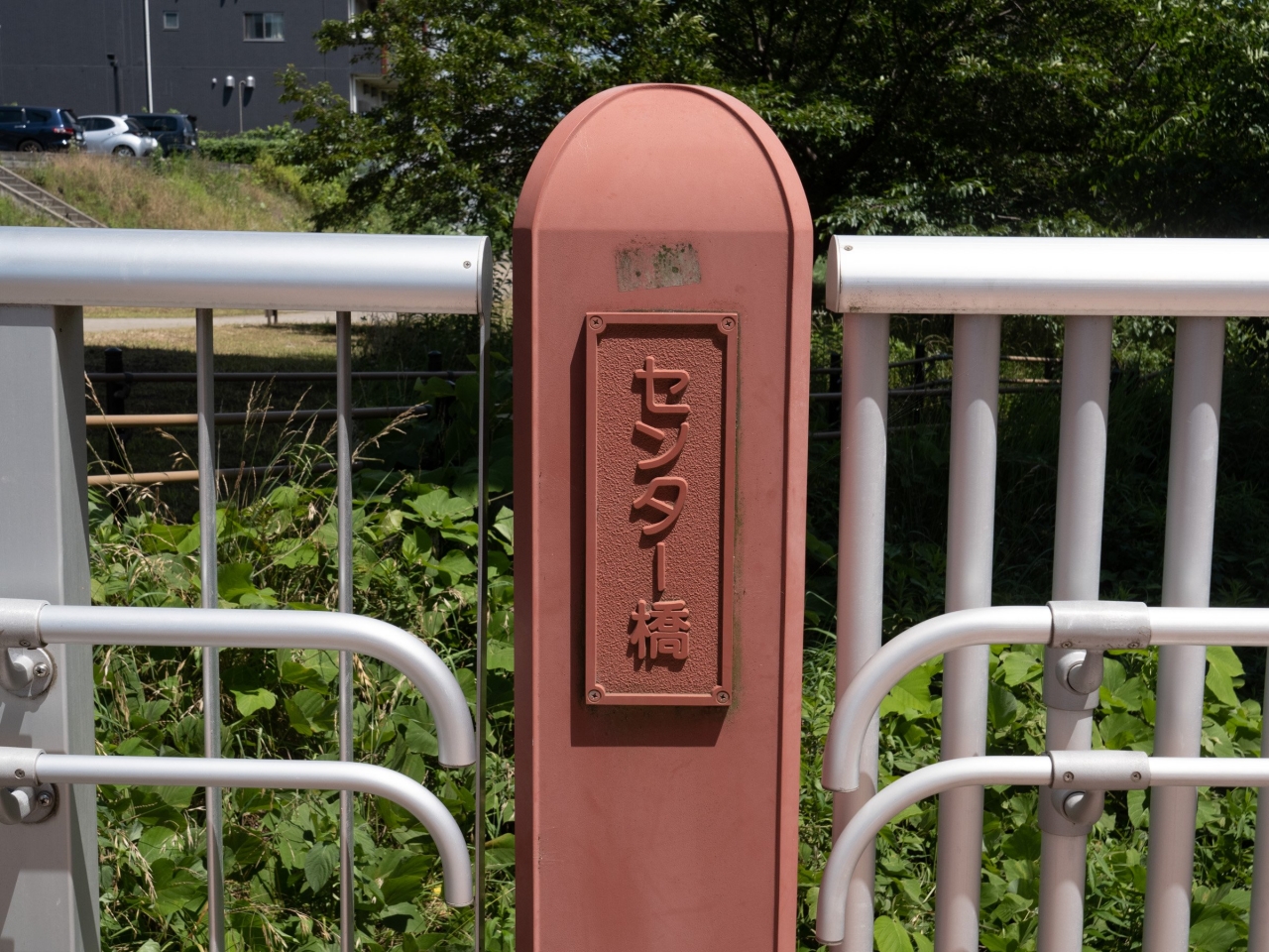 P1056784.jpg
