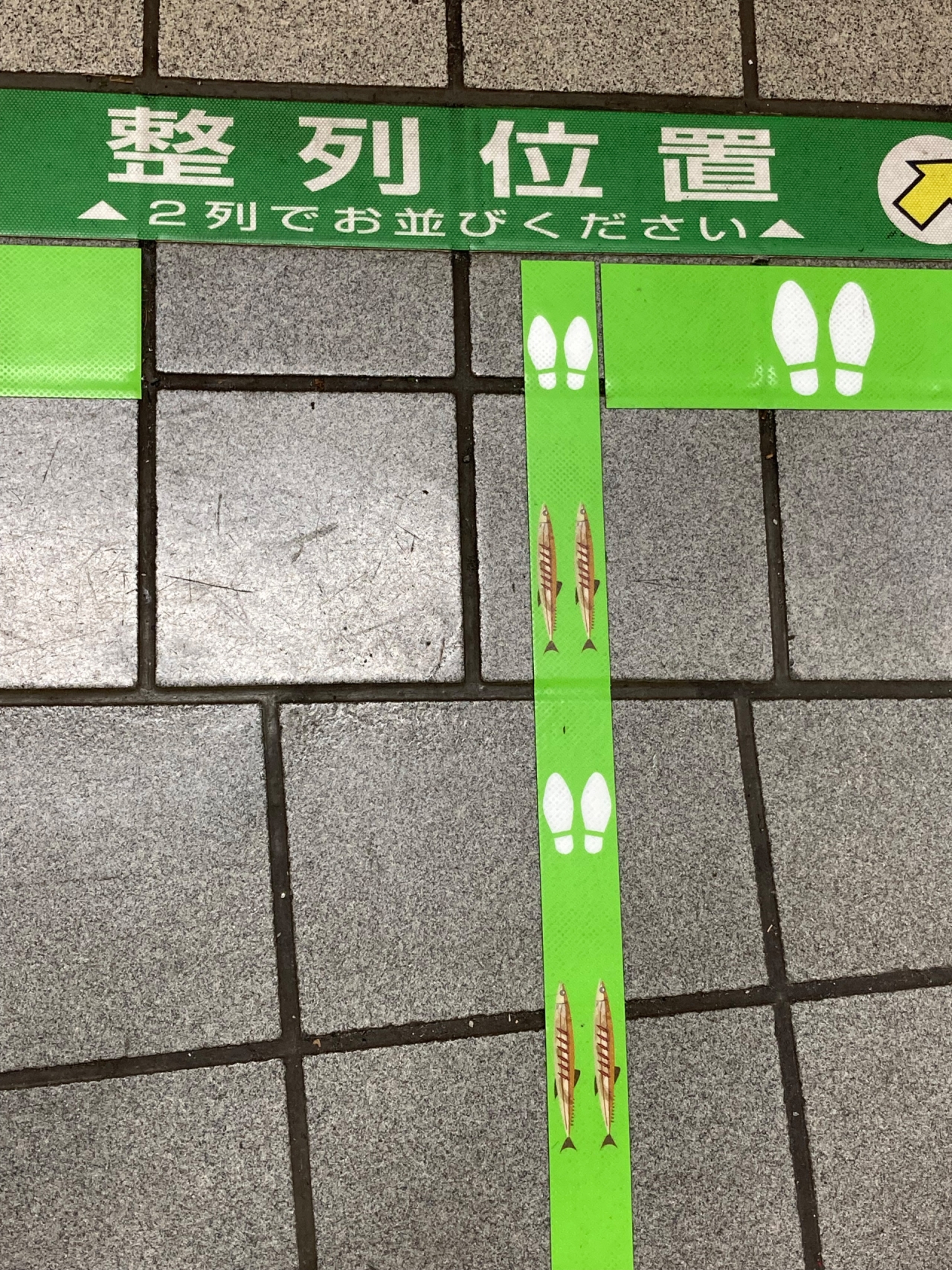 01.jpg