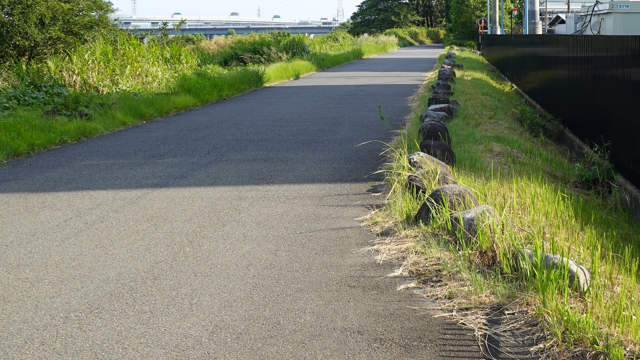 ishiishi_145.JPG