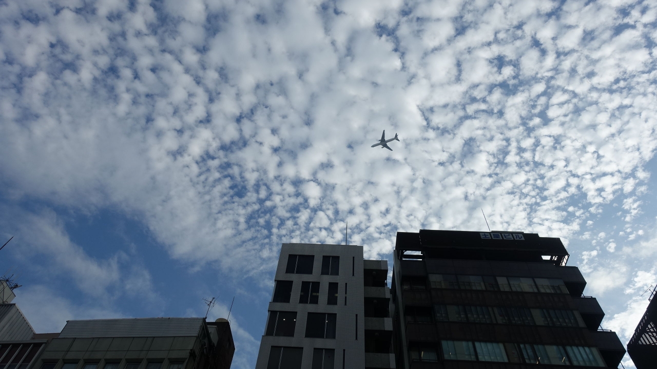 飛行機