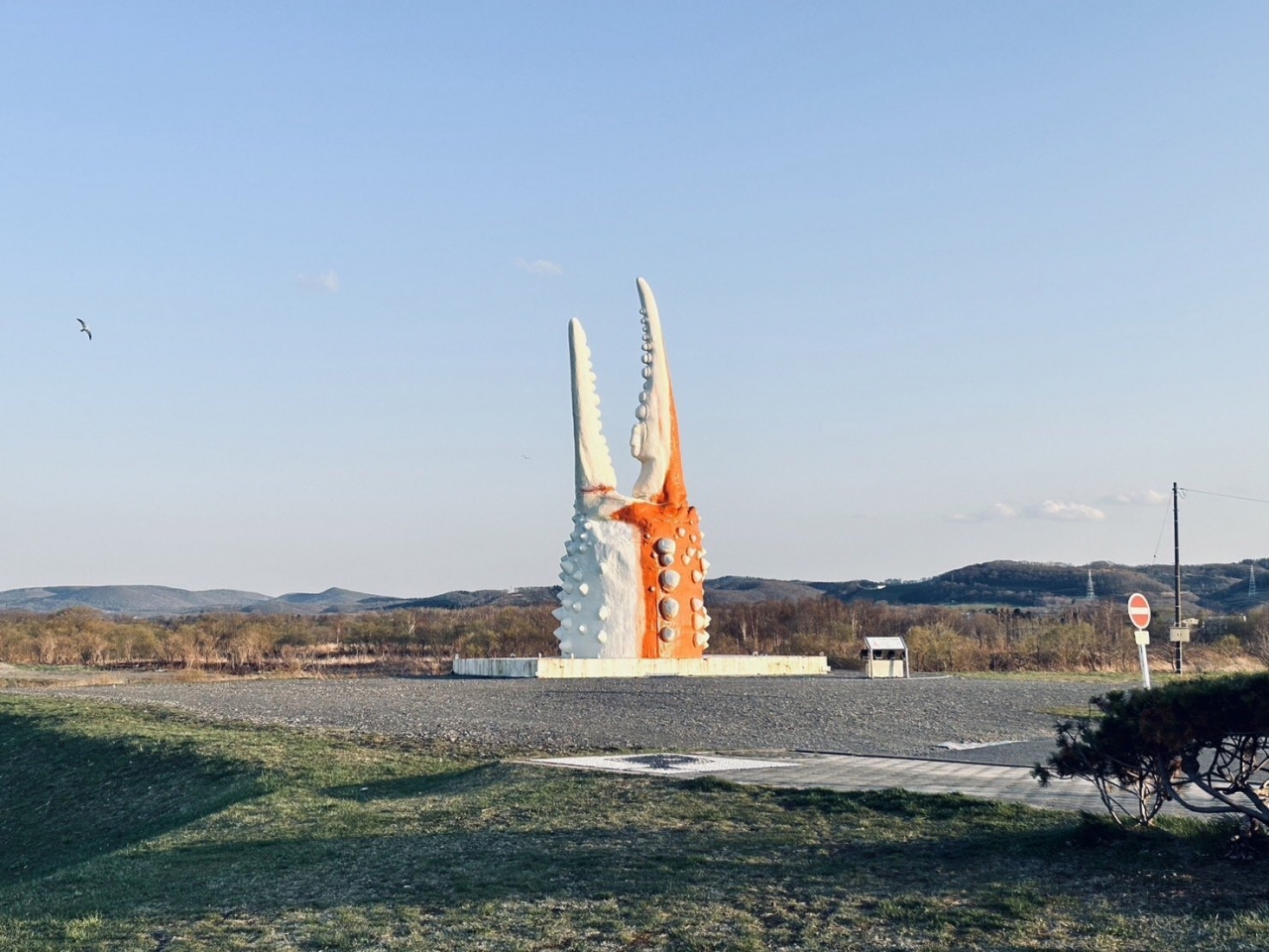 06.jpg