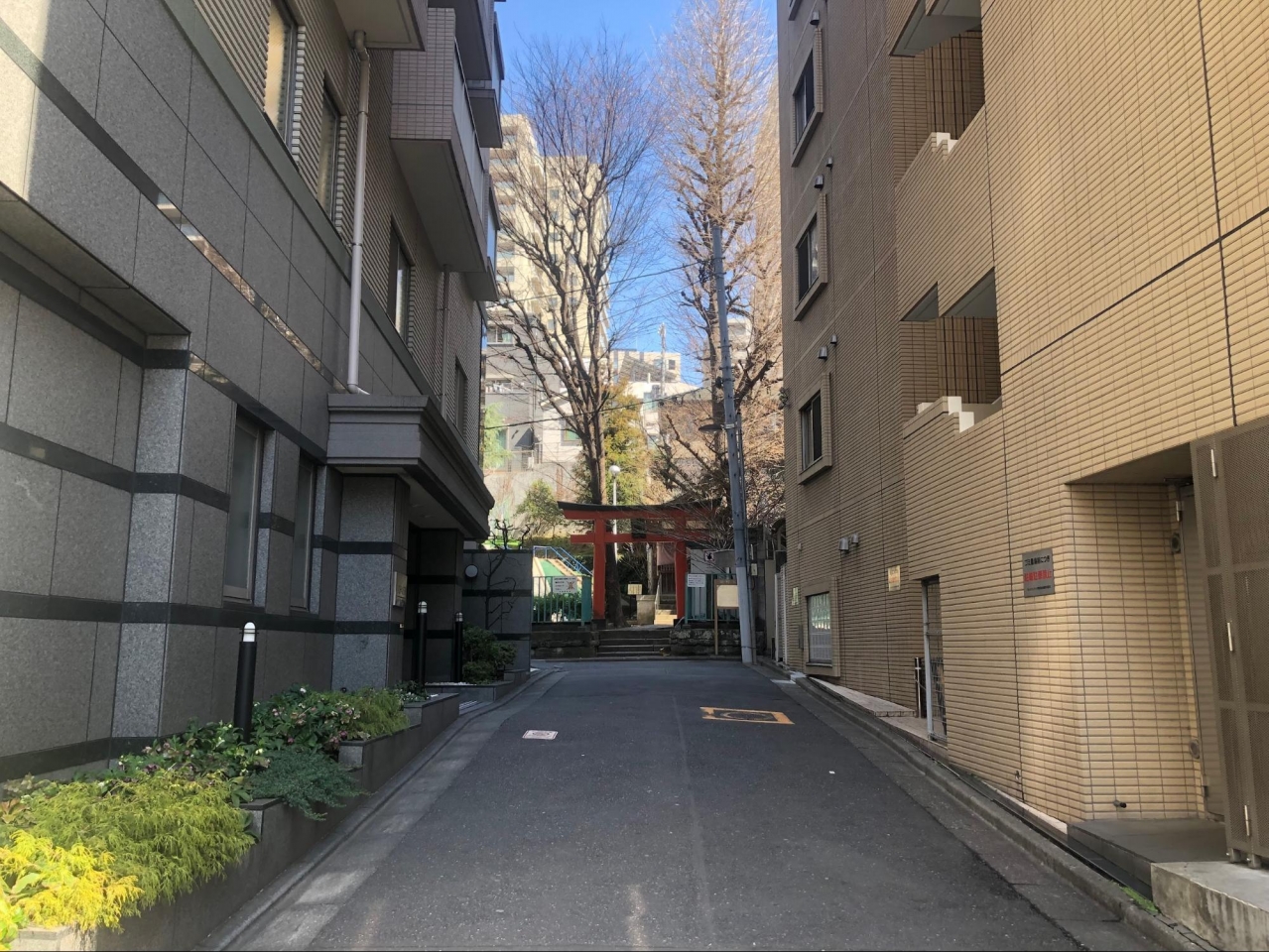 image4.jpg