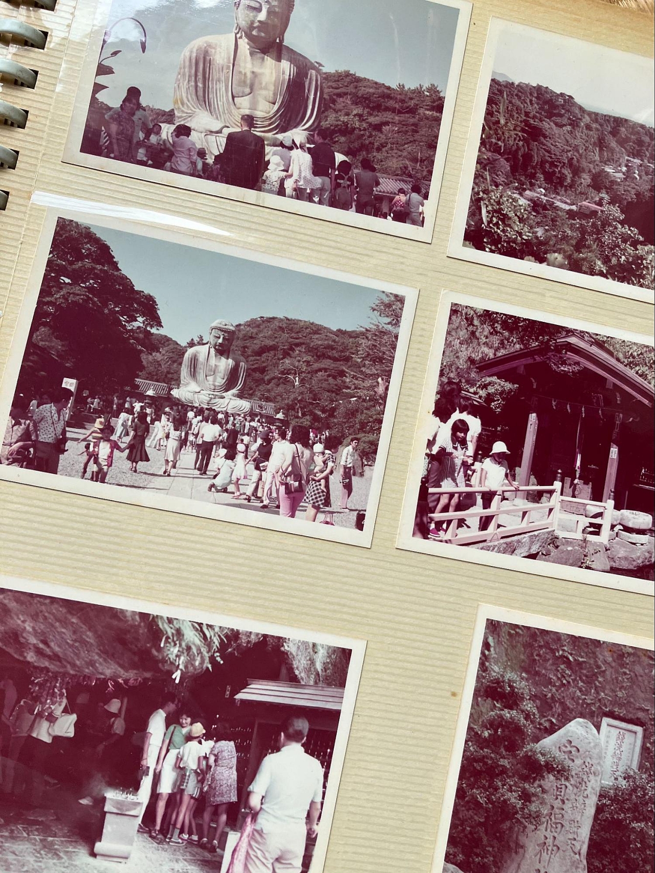 祖父母の写真を処分したら、あまりエモくなかった :: デイリーポータルZ