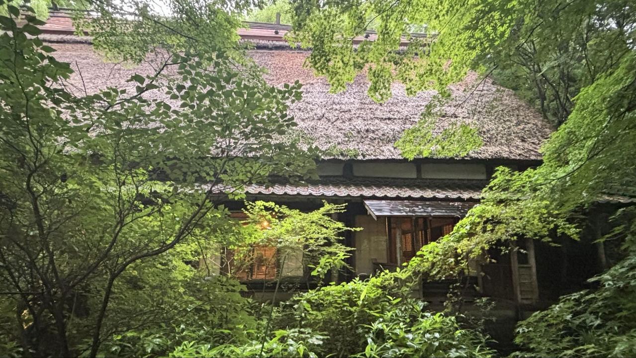image3.jpg
