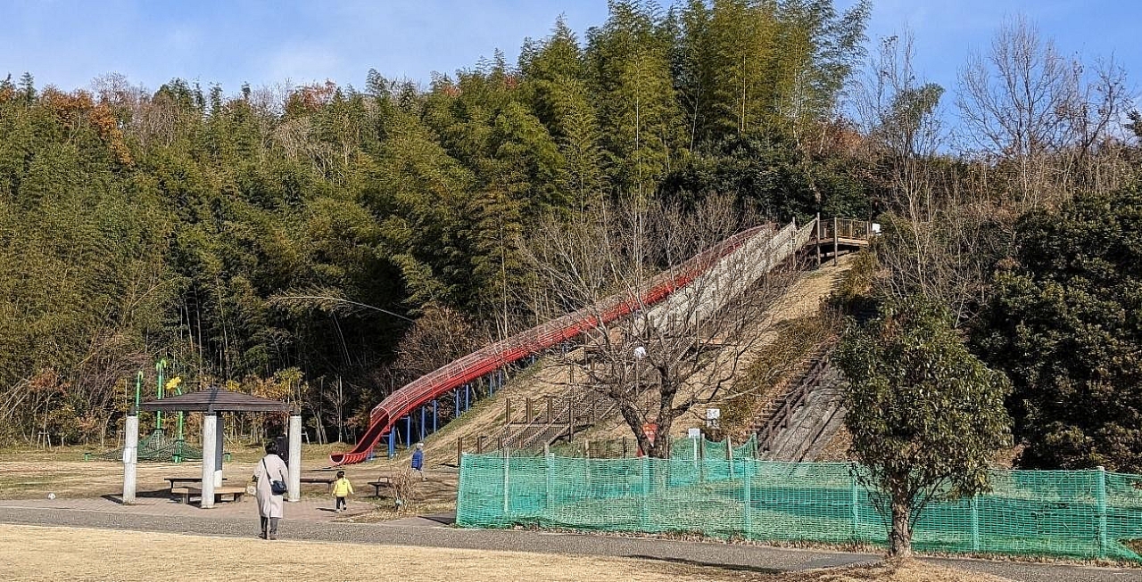 image_s012.jpg