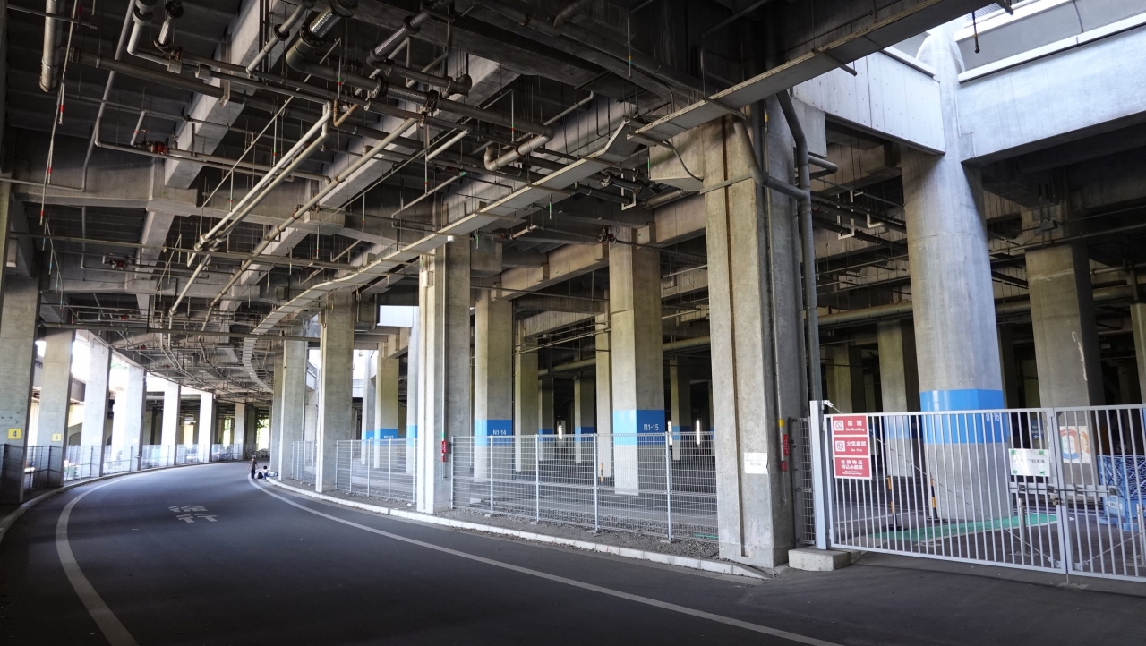 shinyoko_202.JPG