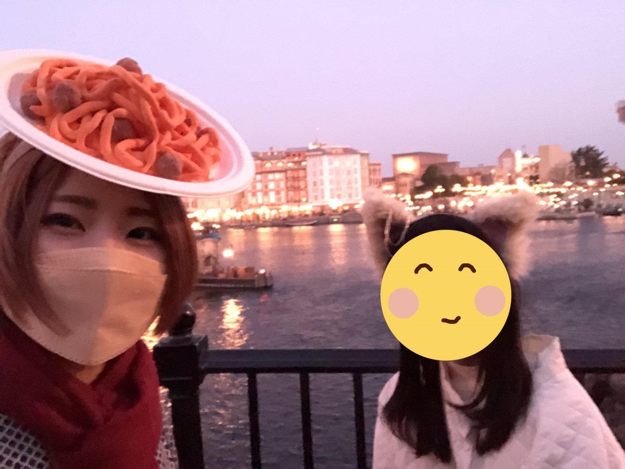 ディズニー夜景.jpg