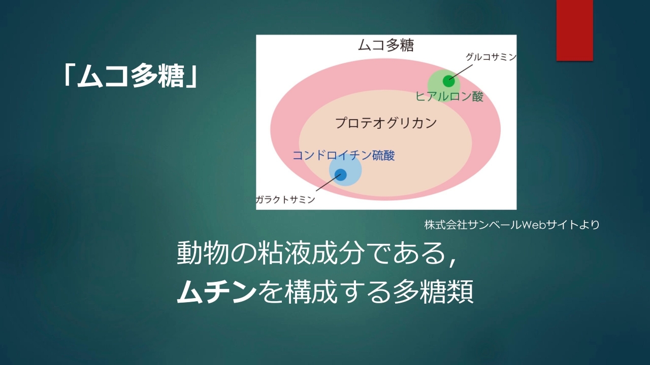 ムチン04.jpg