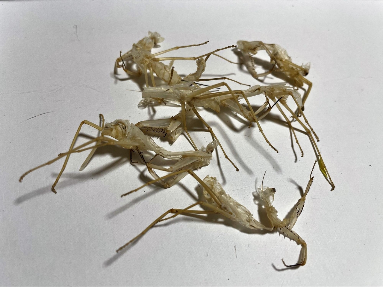 image8.jpg