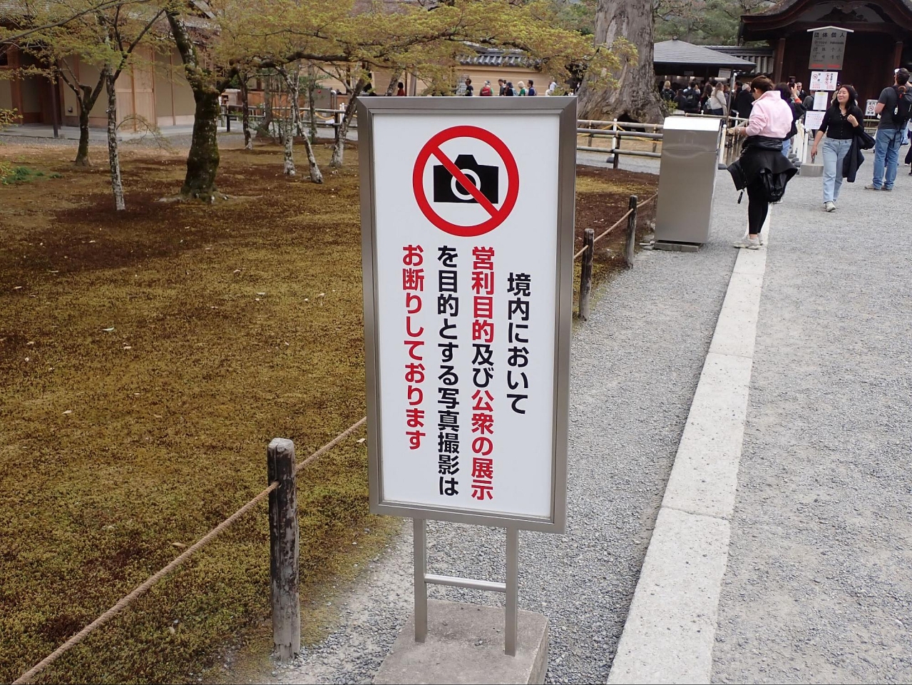 image3.jpg