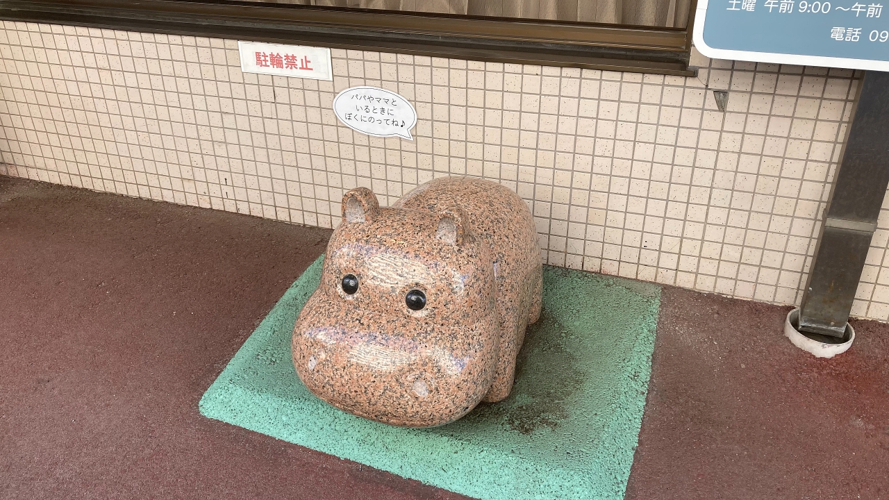 IMG_0495.jpeg