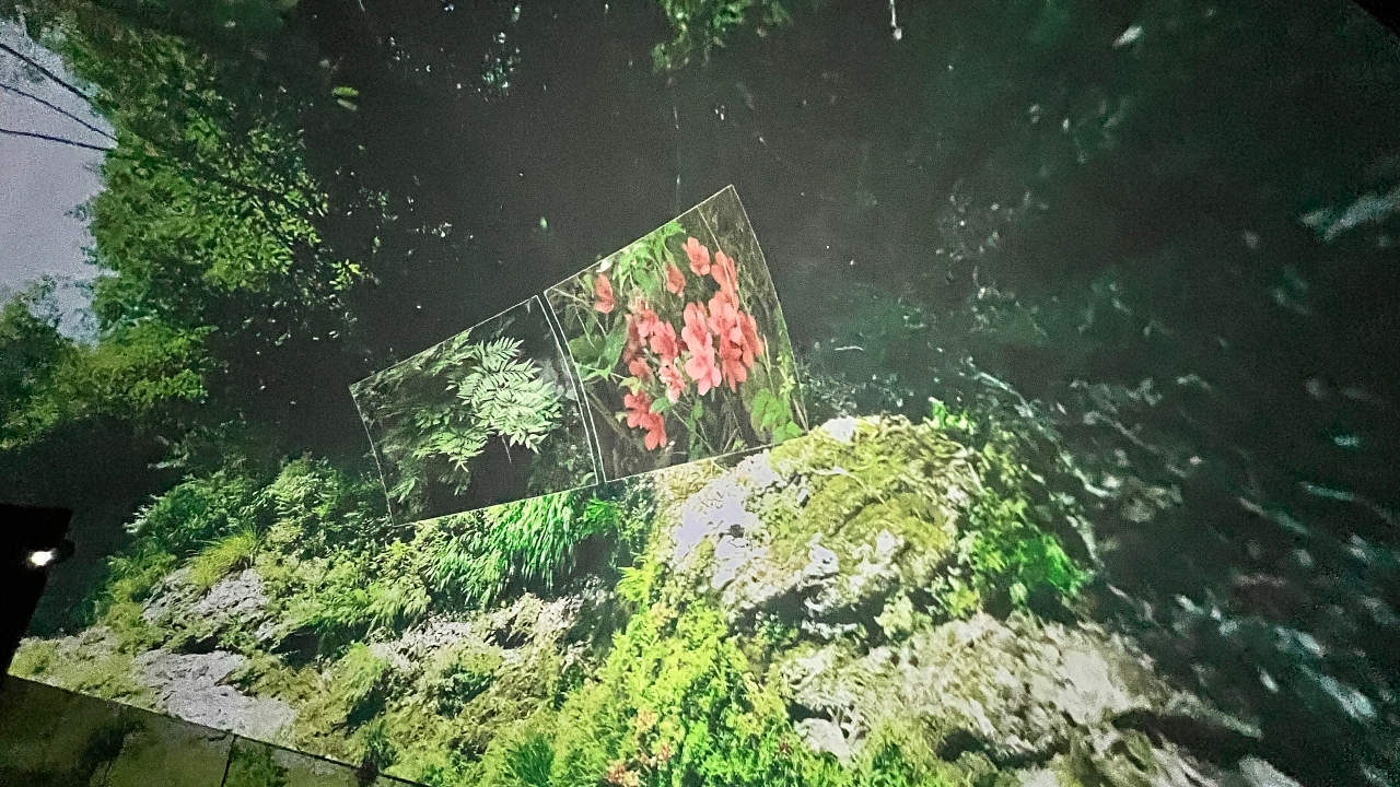 14.JPG