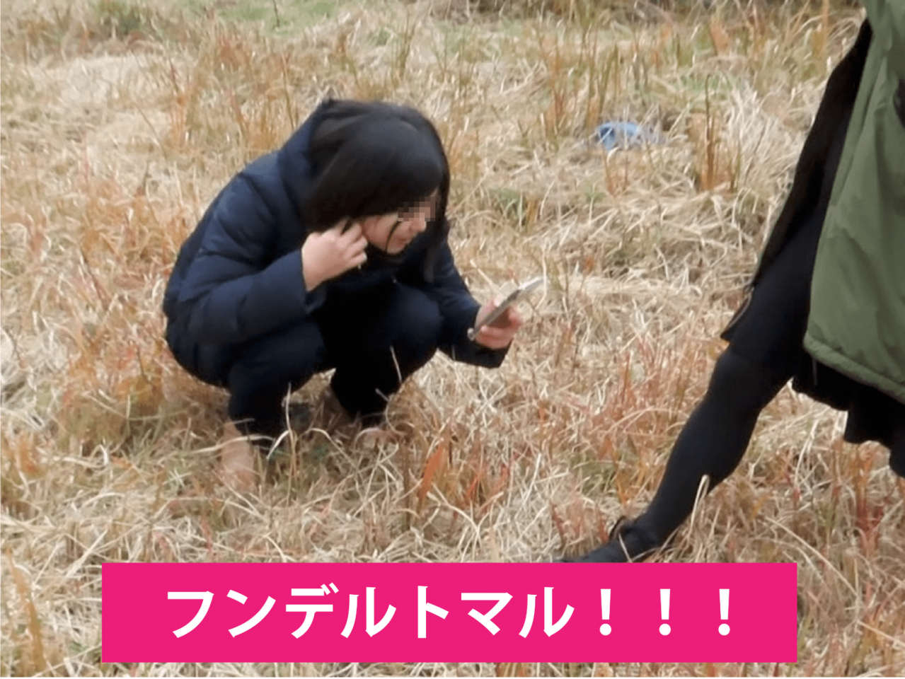image46.png