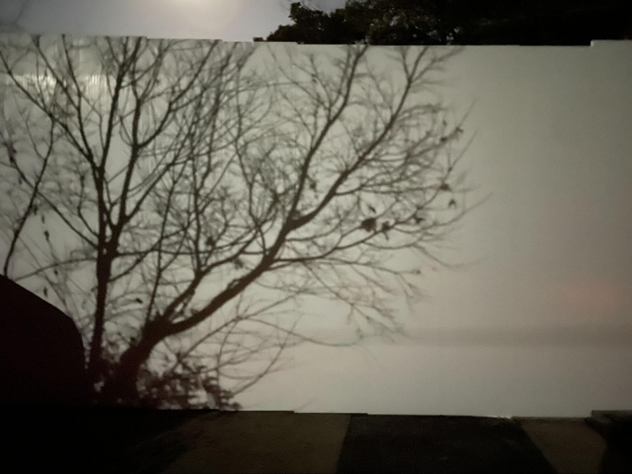 image34.jpg