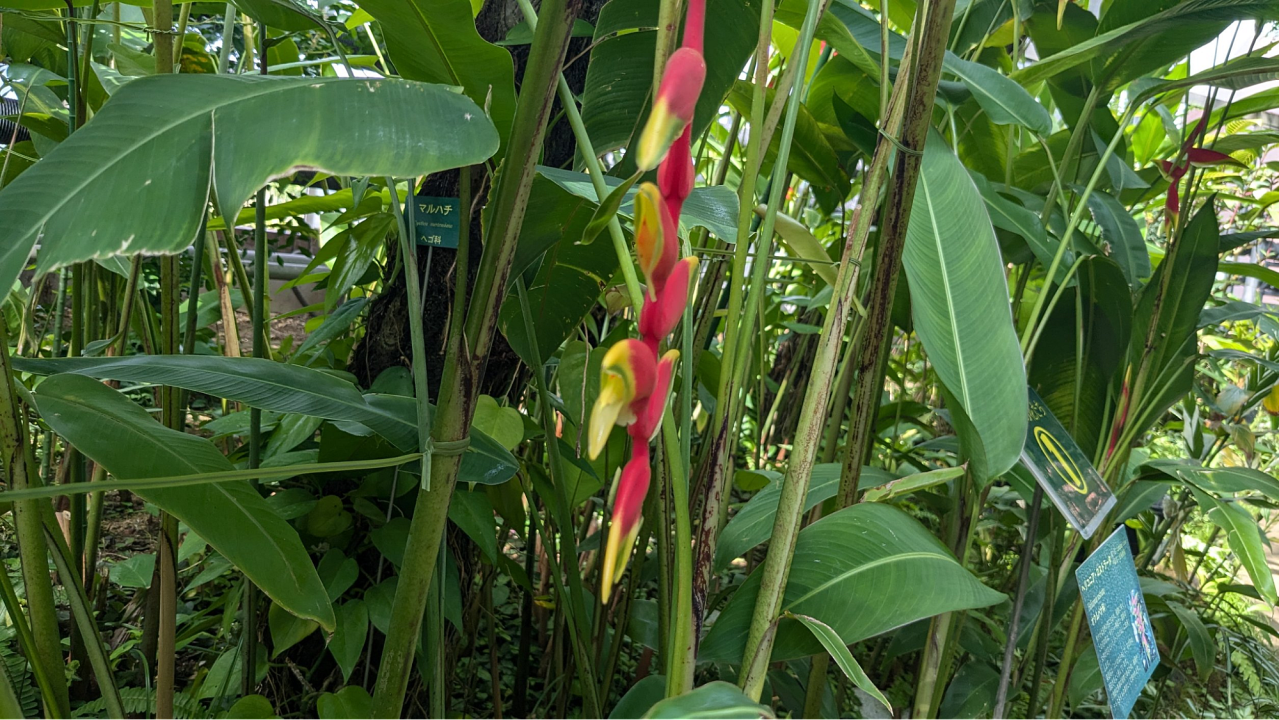 image18.png