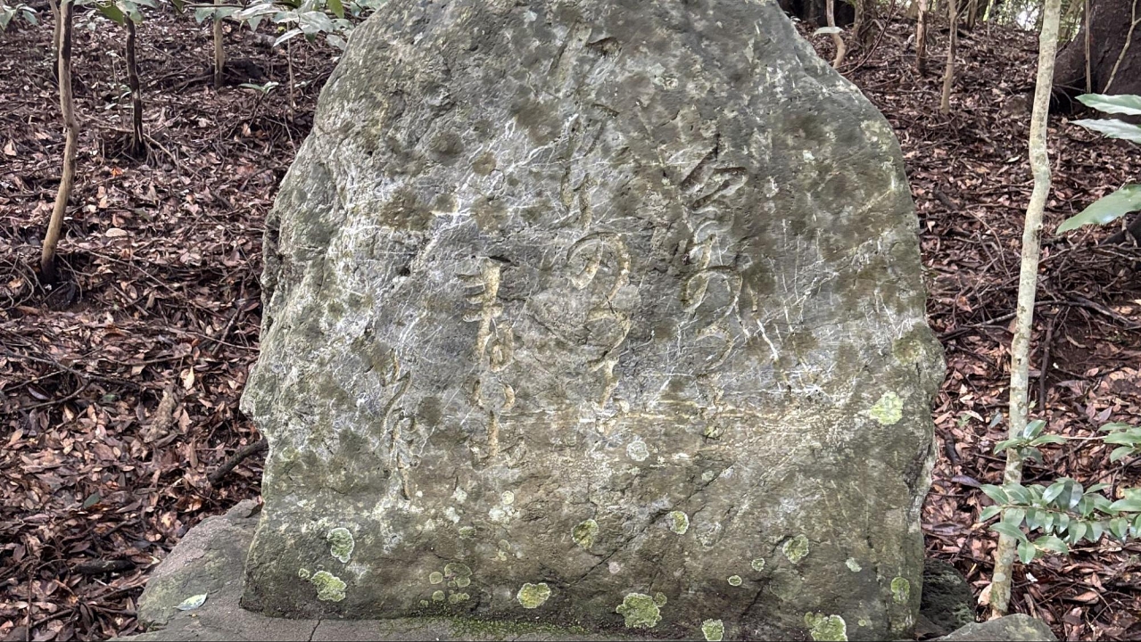 image18.jpg