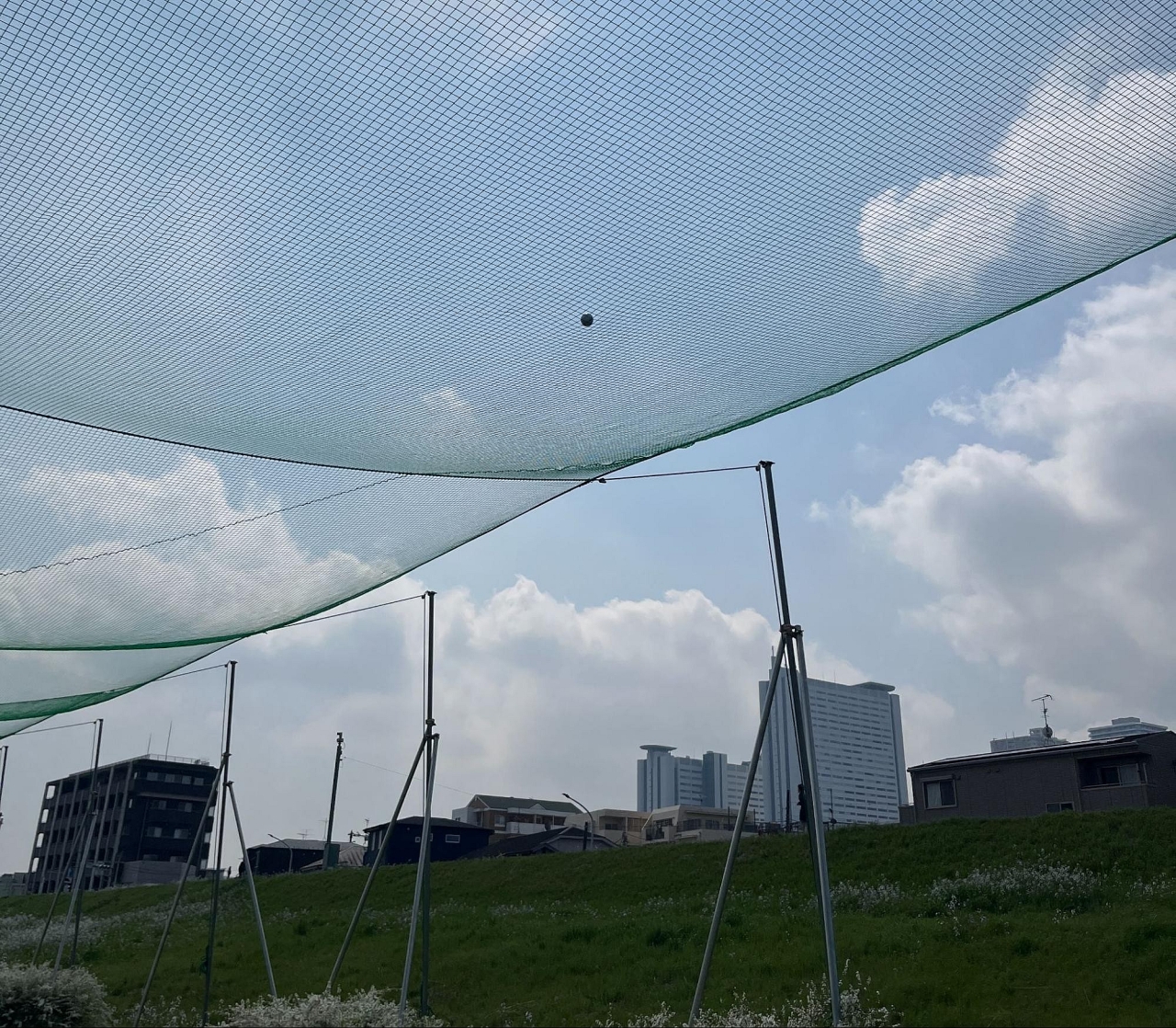 image_s020.jpg