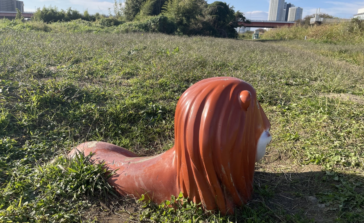 006.jpg