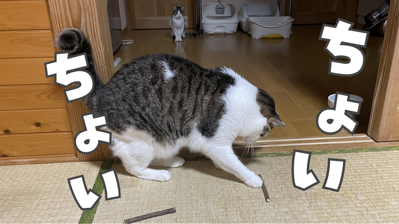 image11.png