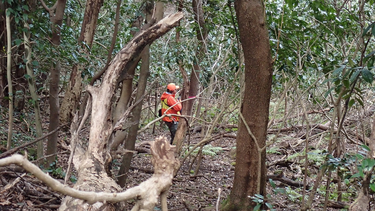 P3062728.JPG