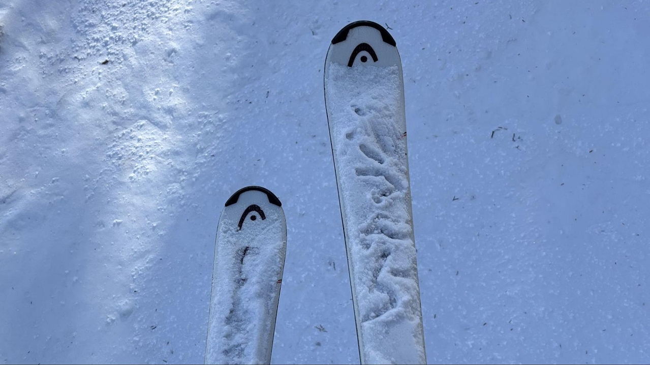 image4.jpg