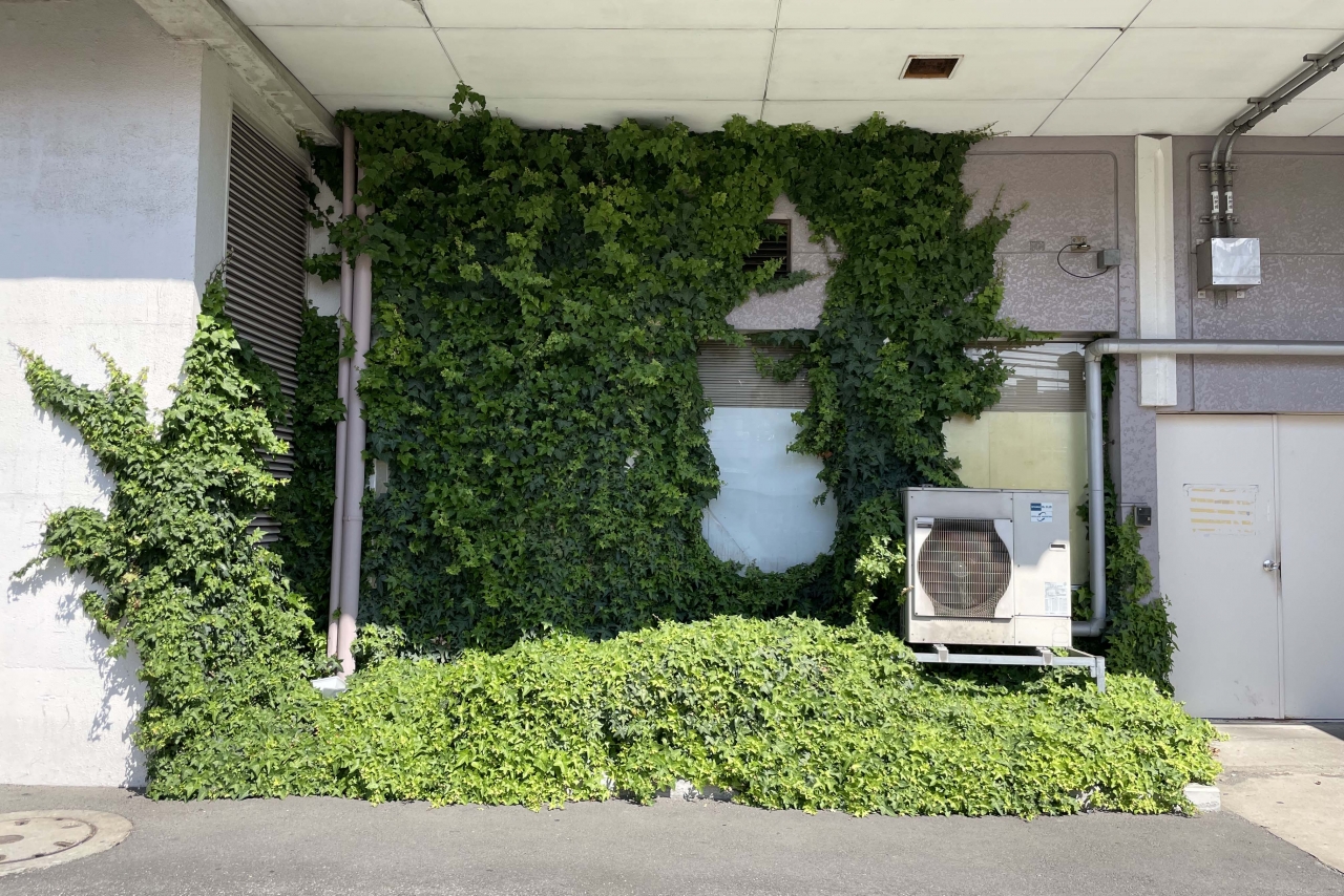 写真 2021-06-07 14 36 39.jpg