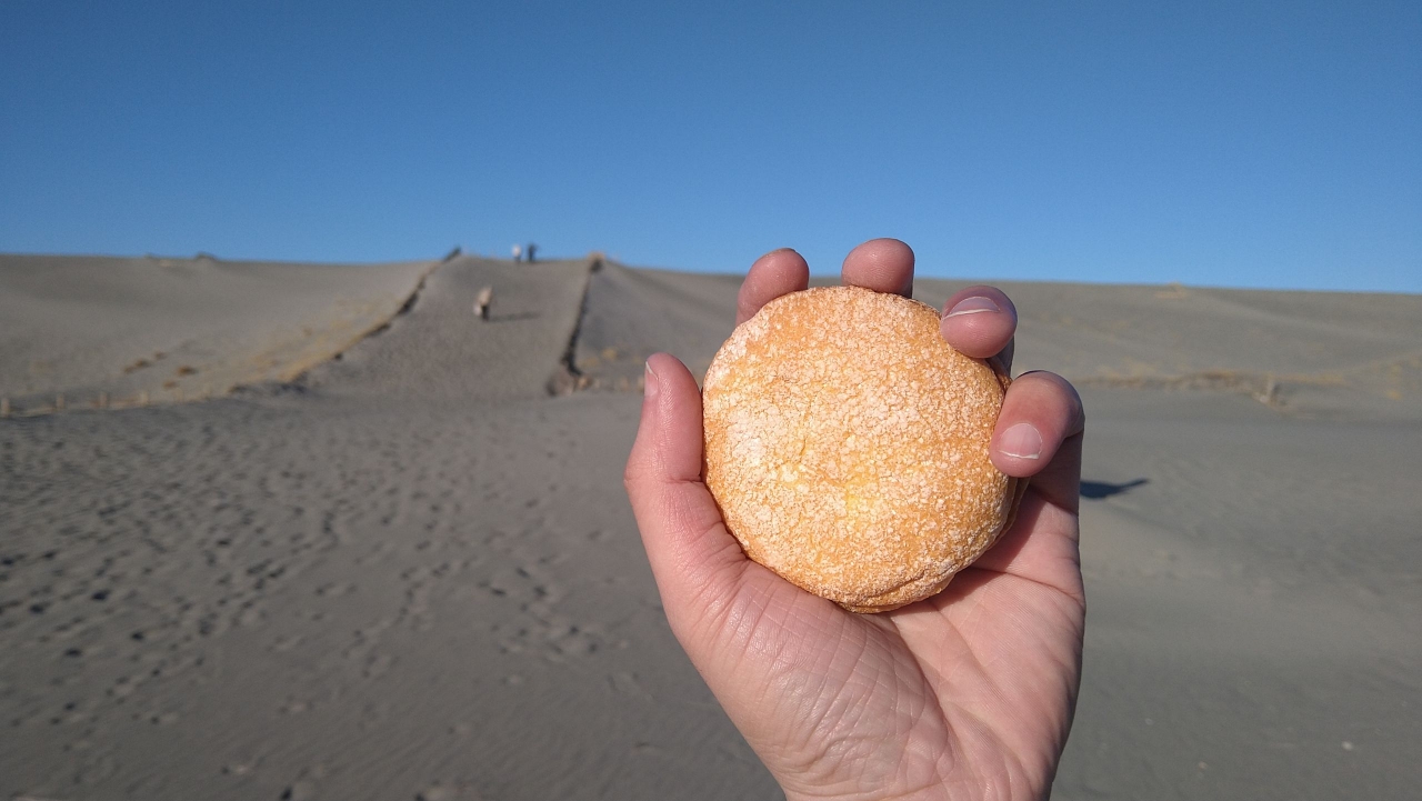 007_砂丘とチーズクリーム味.JPG