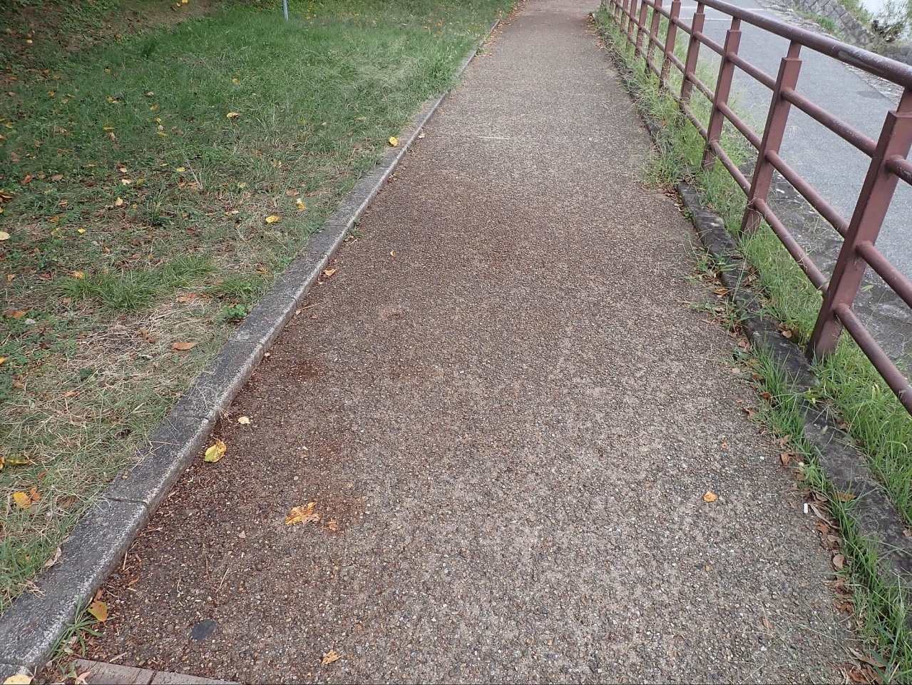 image20.jpg