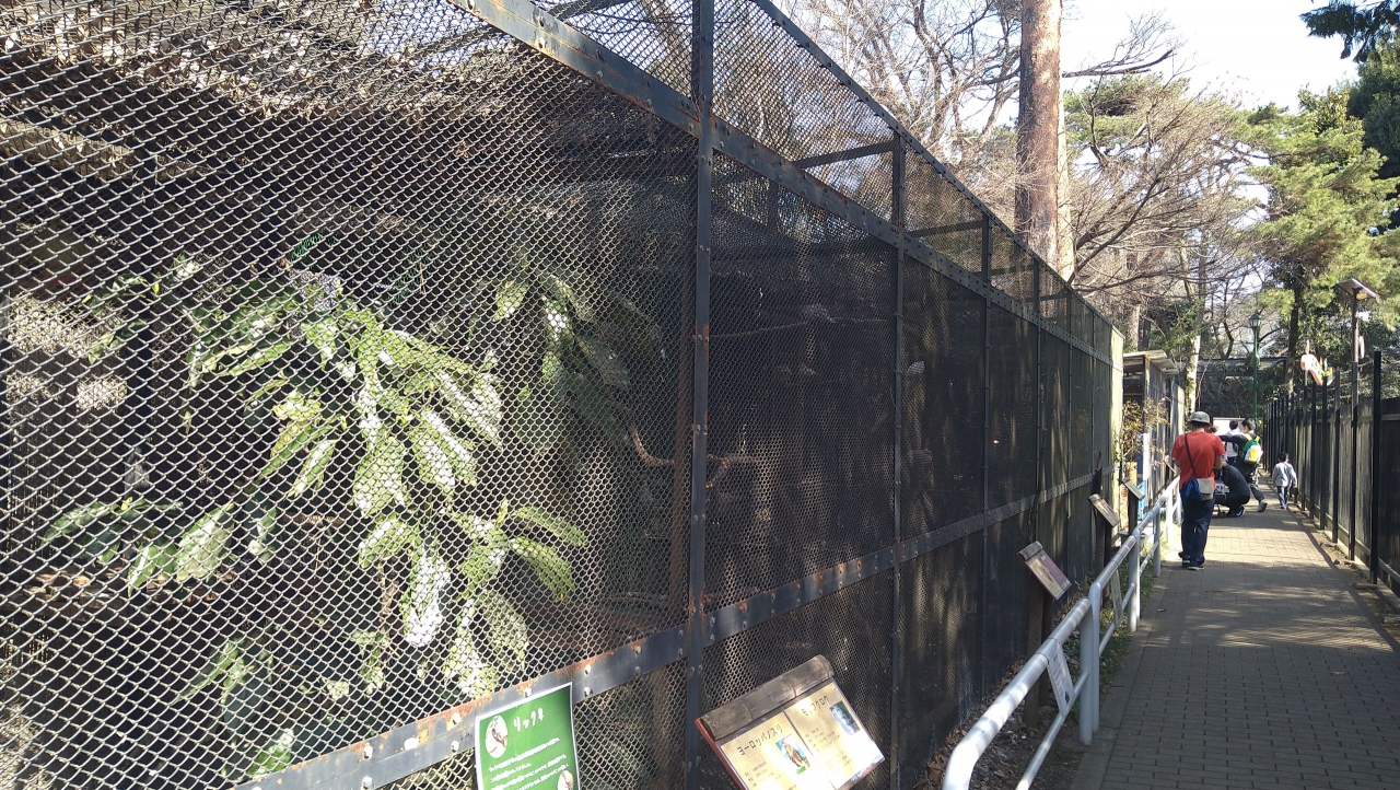 016_動物園の最終コーナー.JPG