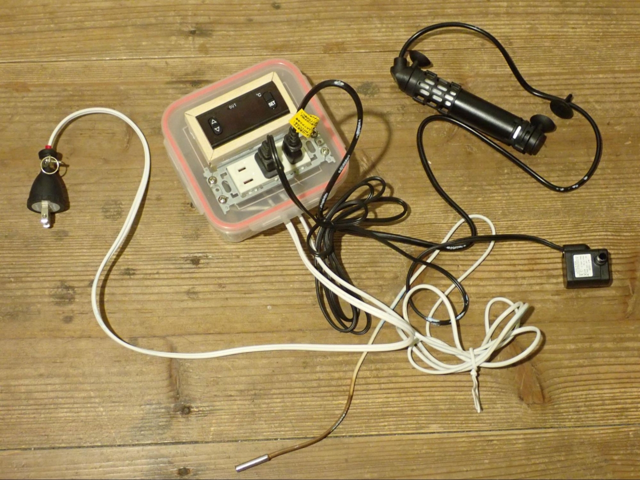 image1.jpg