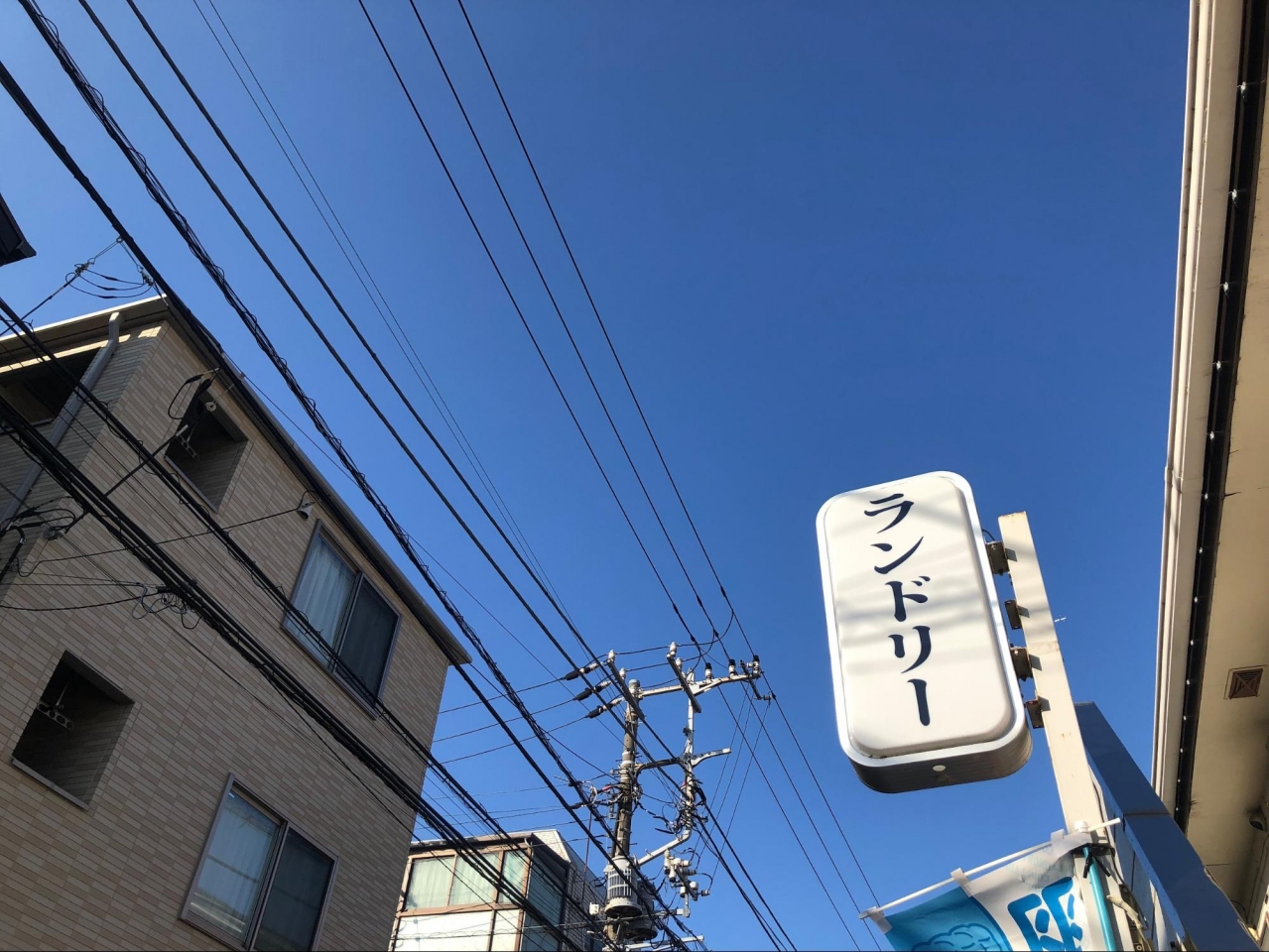 image7.jpg