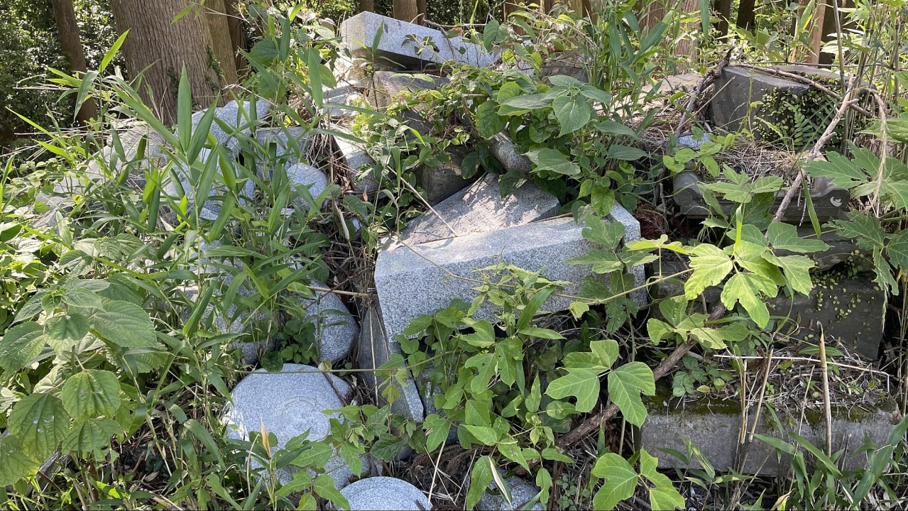 image42.jpg