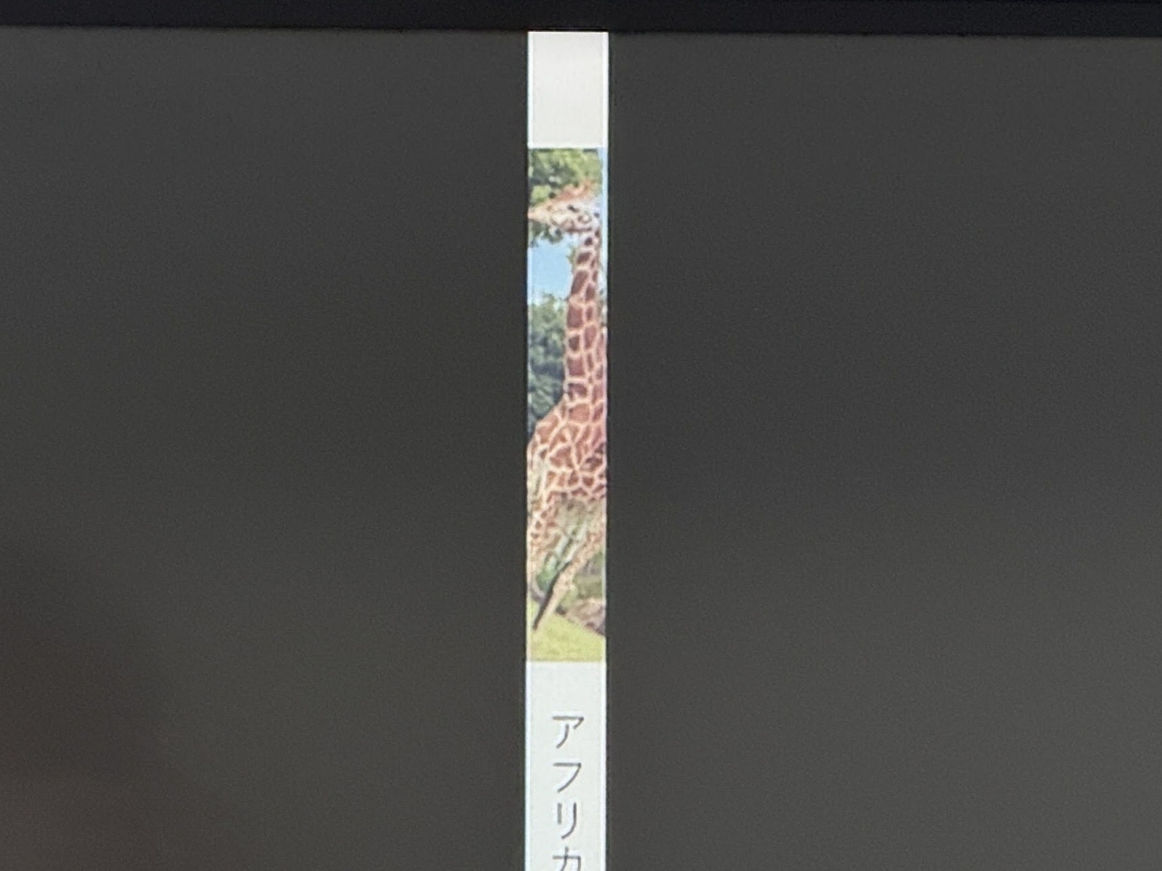 h.JPG