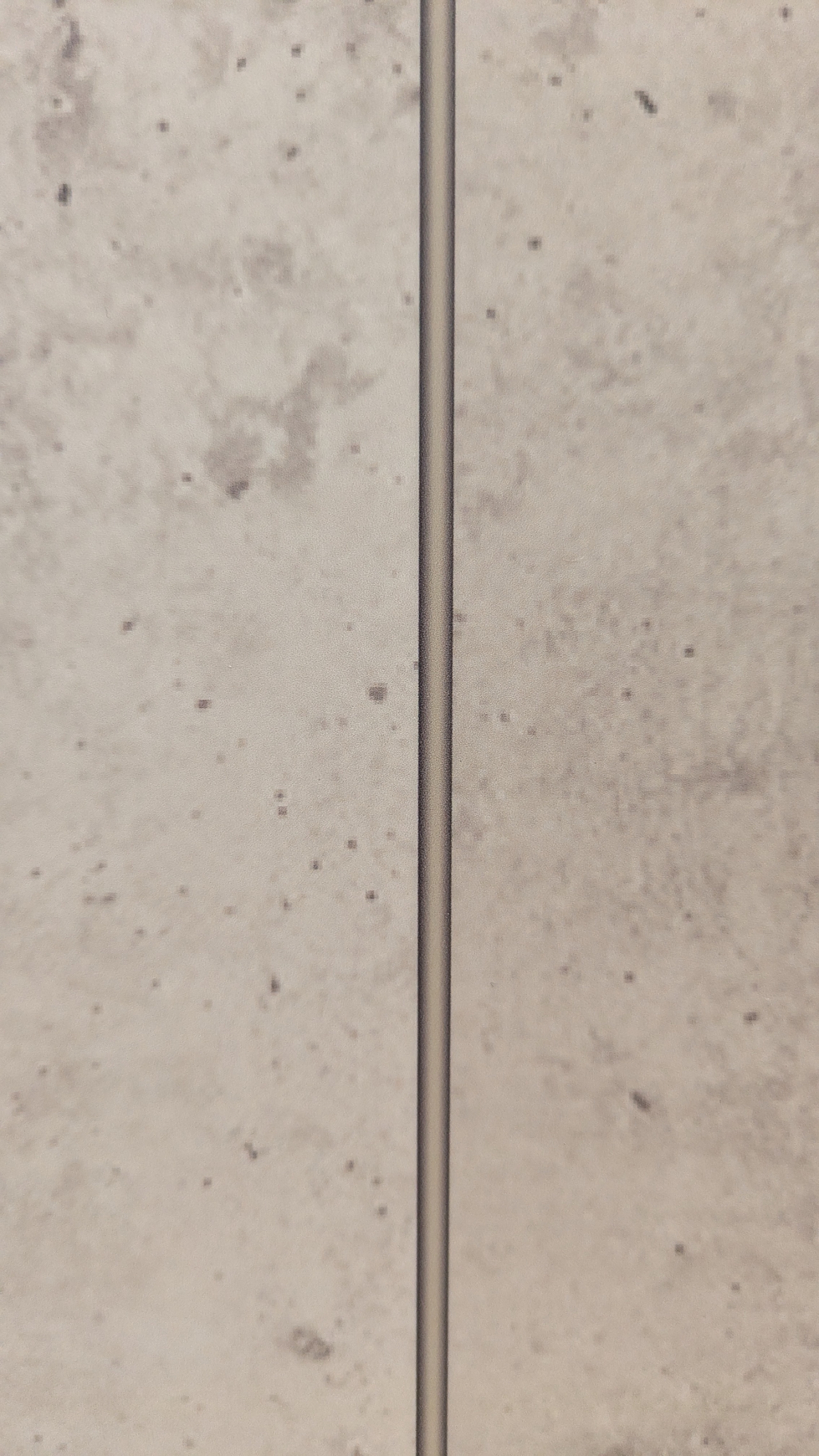 002-02.jpg