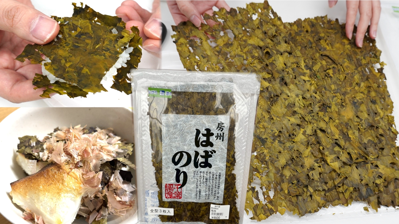 ３枚で4600円！千葉名産「はばのり」、その納得の味　コンビニの塩おにぎりも瞬時に「こだわりの逸品」に