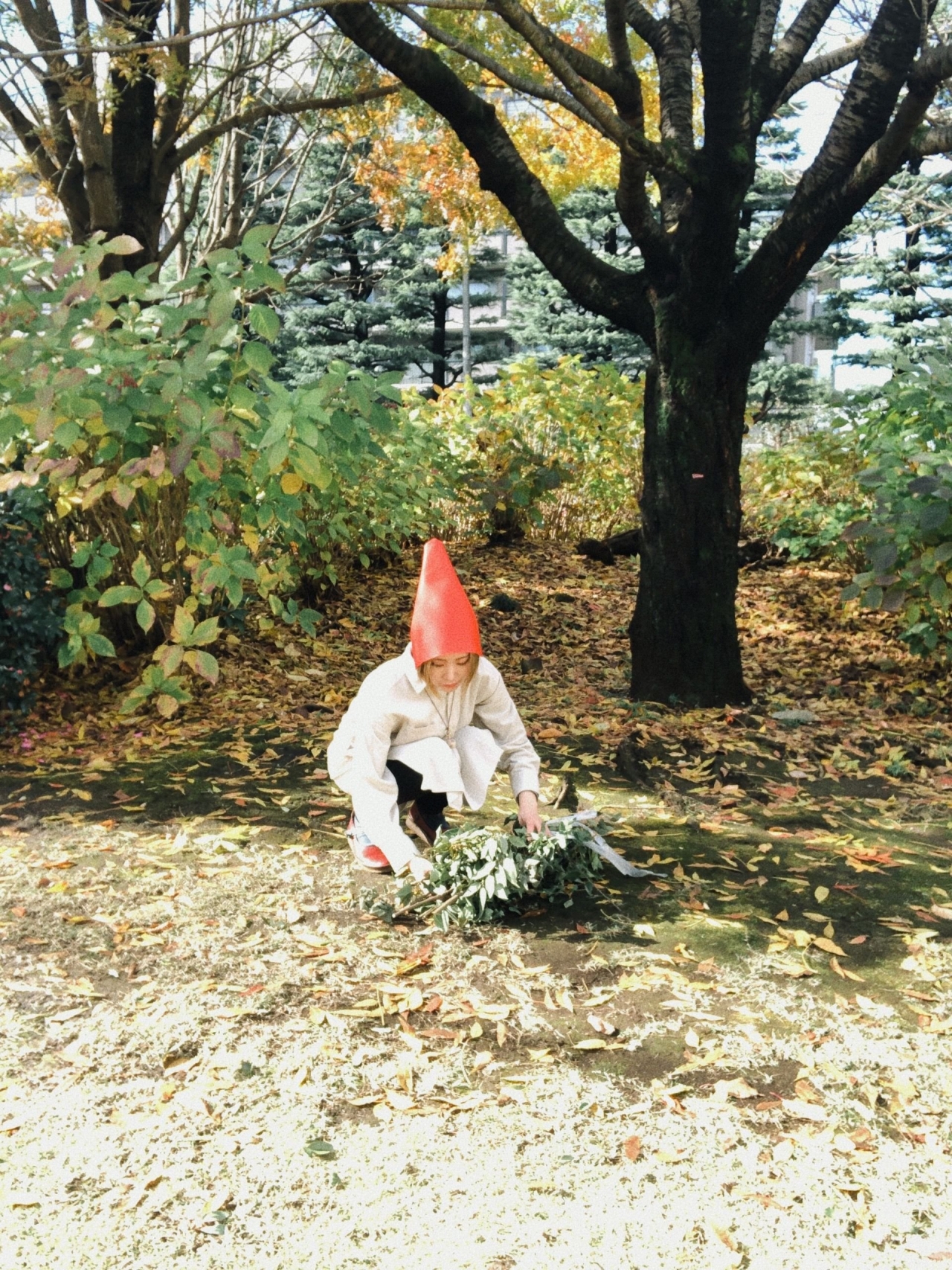 23.jpg