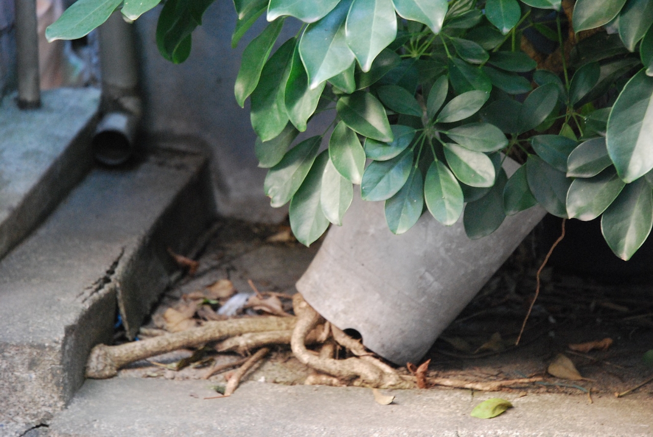 image31.jpg