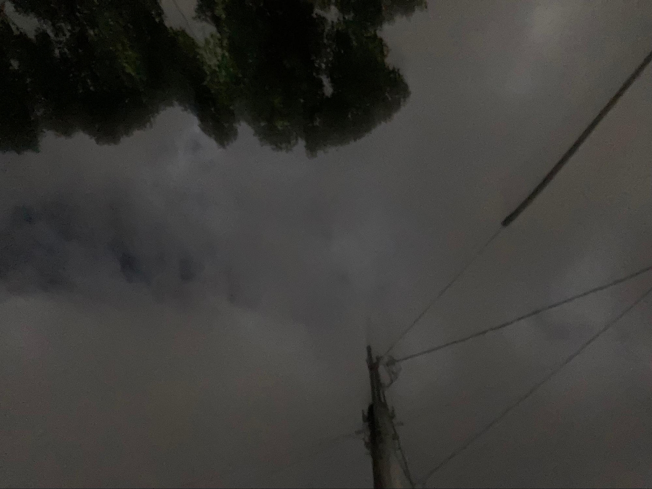 image5.jpg