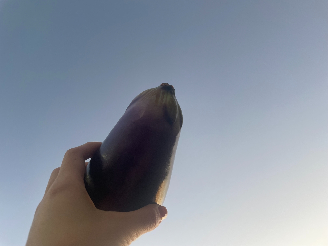 48.jpeg