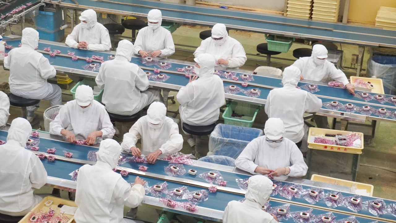 桔梗信玄餅を包むスピードが速すぎる　あの風呂敷のパッケージをすごいスピードで包んでいる人たちがいる